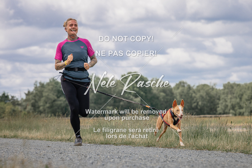 nelerasche_BuHu2026_SaCC1100-1200_177 | nelerasche