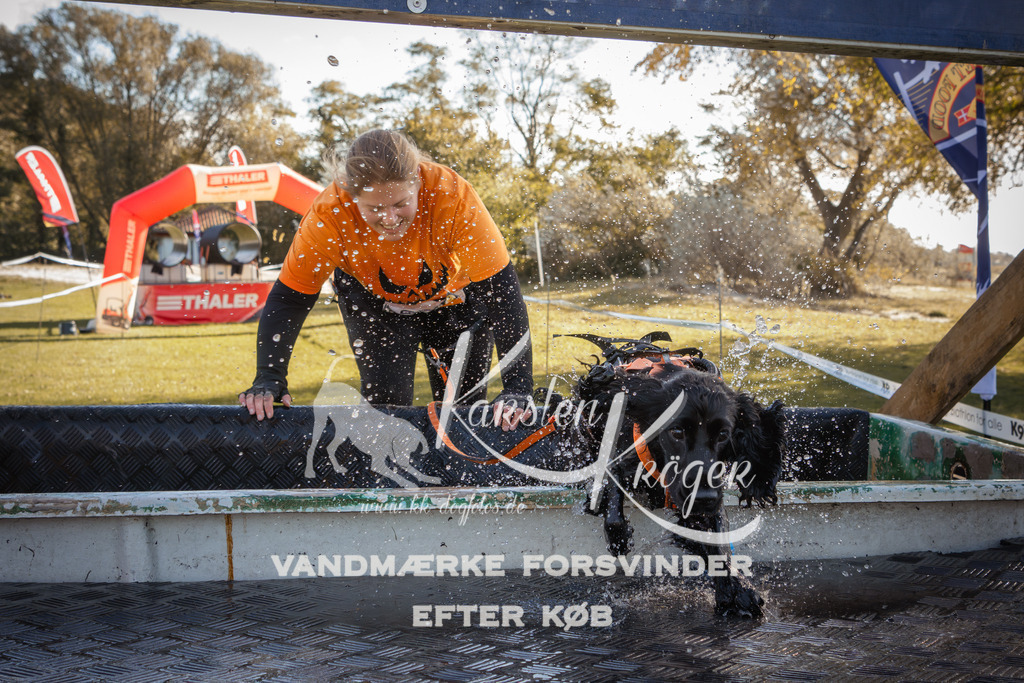 1229_ZZ96687-2 | kk-dogfotos