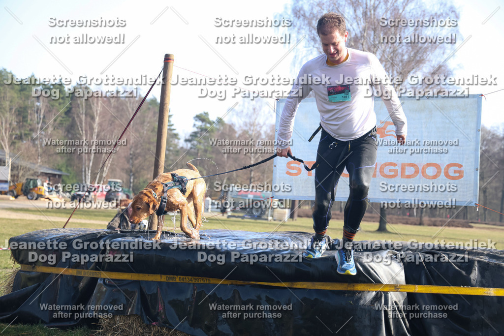 Dog Paparazzi - Strongdog North Mrz26-1201 | Dog Paparazzi Jeanette Grottendiek Fotografie & Videografie - Realisiert mit Pictrs.com