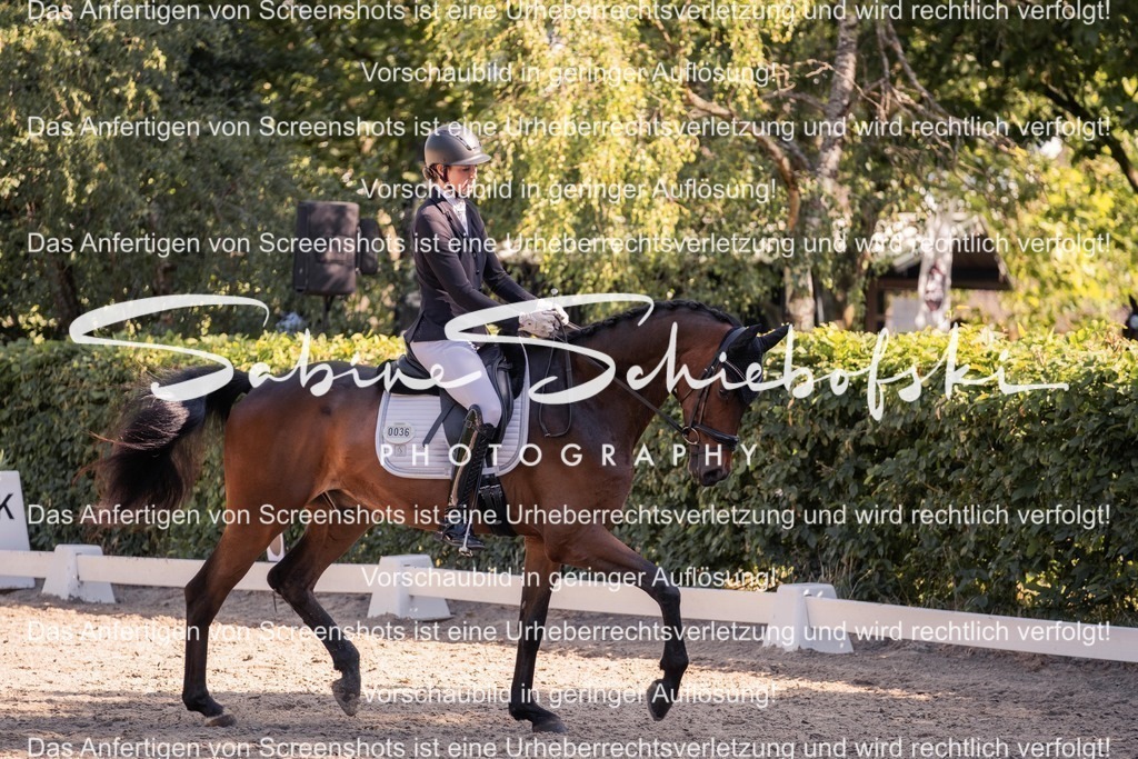 2025_05_31_DSCF3033 | People- und Tierfotografie, Imageaufnahmen, Veranstaltungsfotografie und Wandbilder aus der Natur ★ Made in Germany ✔️ Druck + Downloads ✔️ Naturfotografie in Top Qualität ★ schneller Versand, weltweite Lieferung! - Realisiert mit Pictrs.com