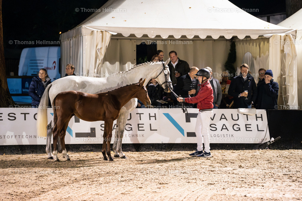 OWL.Ch.2024_Fohlenauktion--3 | Der professionelle Turnierfotograf ✓ Reitsport Bilder ▷ Shop ✚ günstig & schnell ✚ mit Zugang für Redakteure