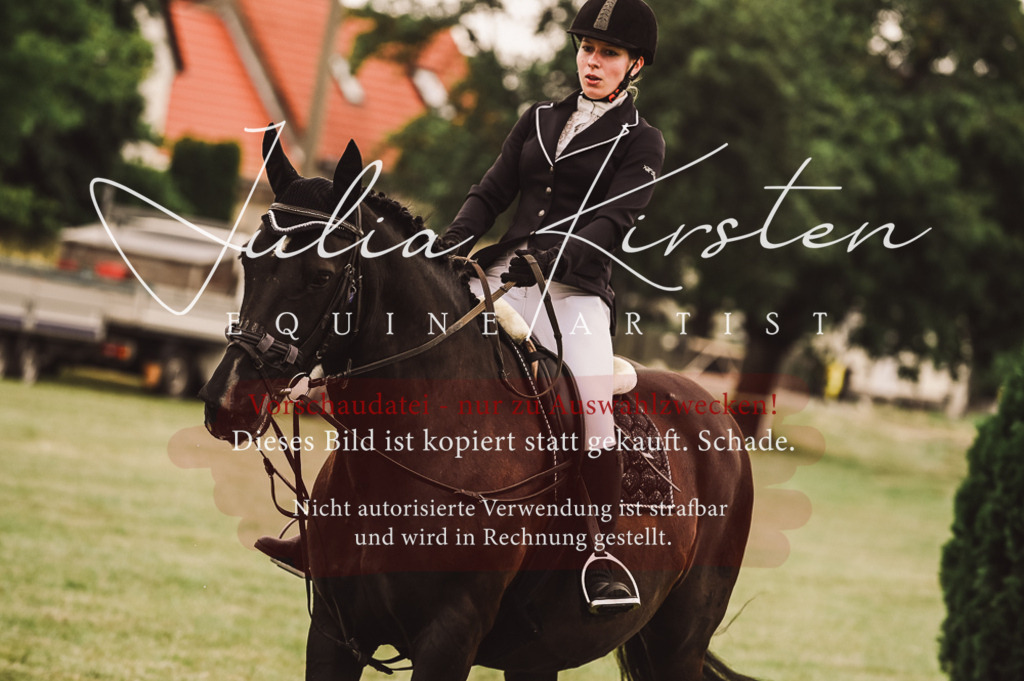 DSC_5010 | Pferde- und Turnierfotografie in Westsachsen. Pferdeportraits, Auftragszeichnungen und intuitive Kunst.