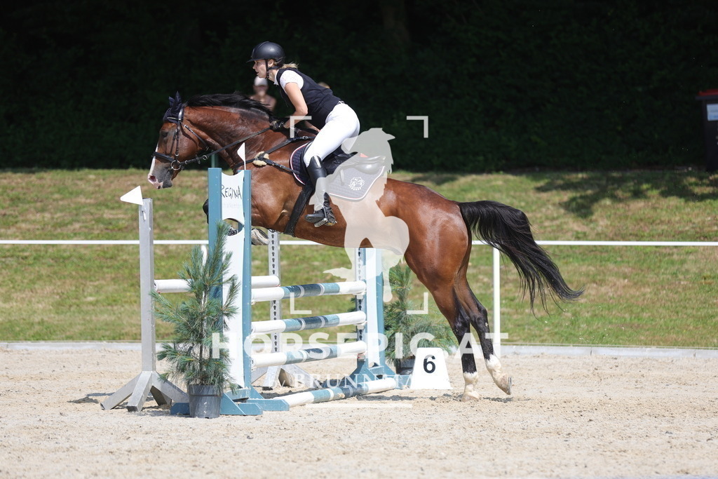 0P6A8731 | Willkommen bei Brunnmayr - Design & Fotografie – Ihrem Spezialisten für Reitturniere und Pferdeveranstaltungen in Oberösterreich, Salzburg und Bayern! Seit über 17 Jahren sind wir leidenschaftlich dabei.