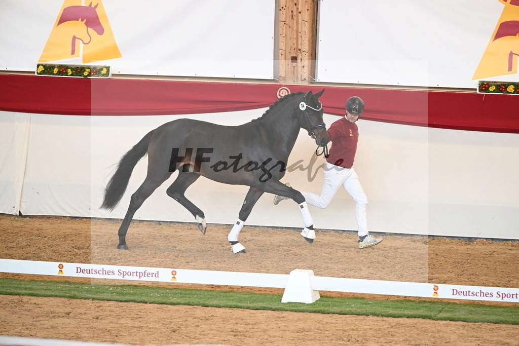 Kat.-Nr. 74 v. Quaterback_Mieleszko-Vekens_2250648 | hf-fotografie - Realisiert mit Pictrs.com