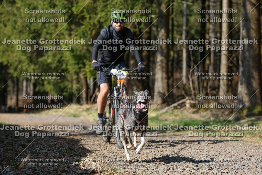 Dog Paparazzi - VCC26-172 | Dog Paparazzi Jeanette Grottendiek Fotografie & Videografie - Realisiert mit Pictrs.com