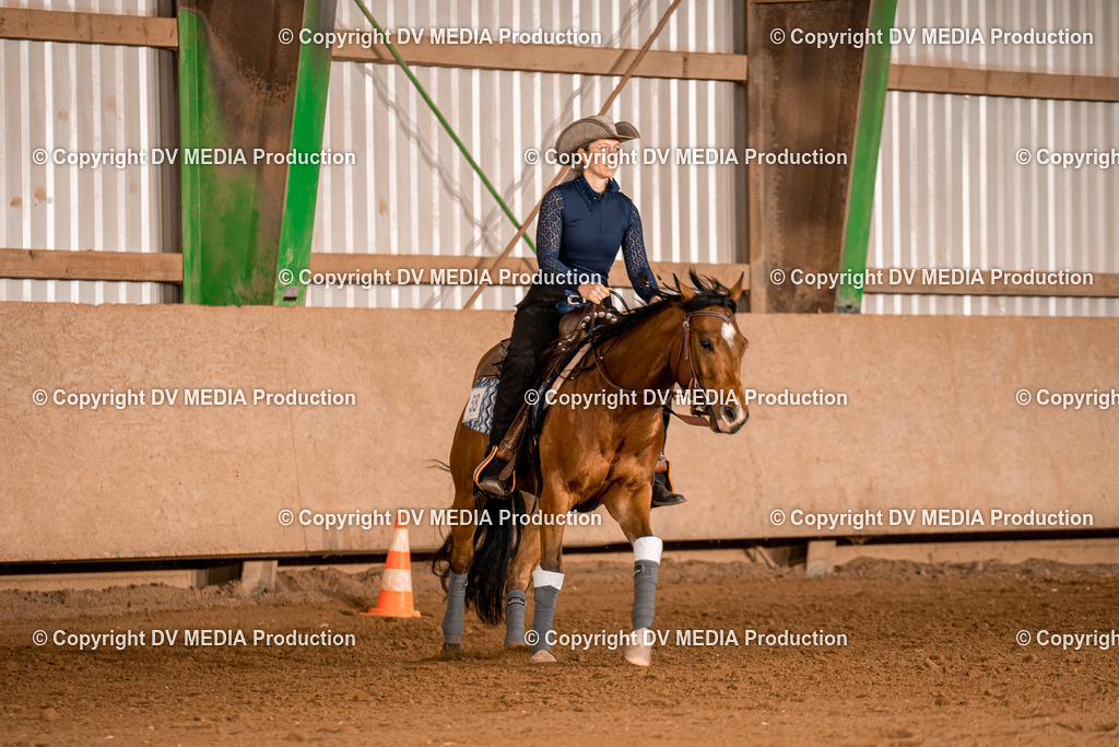 BA400517 | dv-media-shop - Realisiert mit Pictrs.com