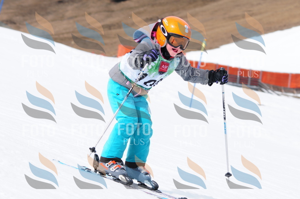 A3852 | holidayphoto