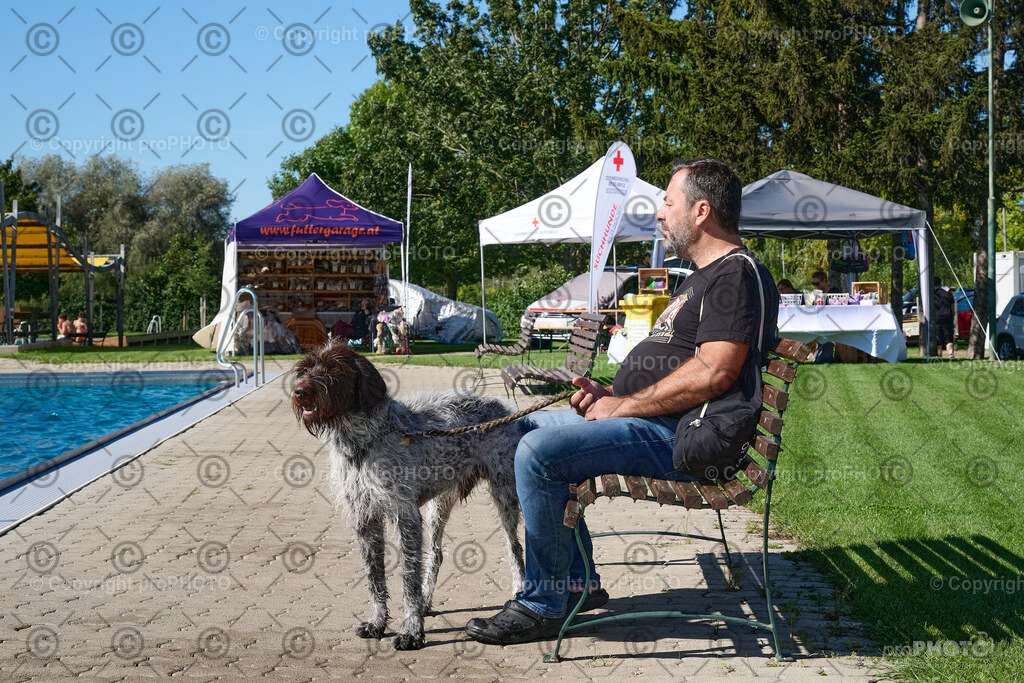 012_202509_4Hundebadetag_NZ9_2082 | proPHOTO - Realisiert mit Pictrs.com