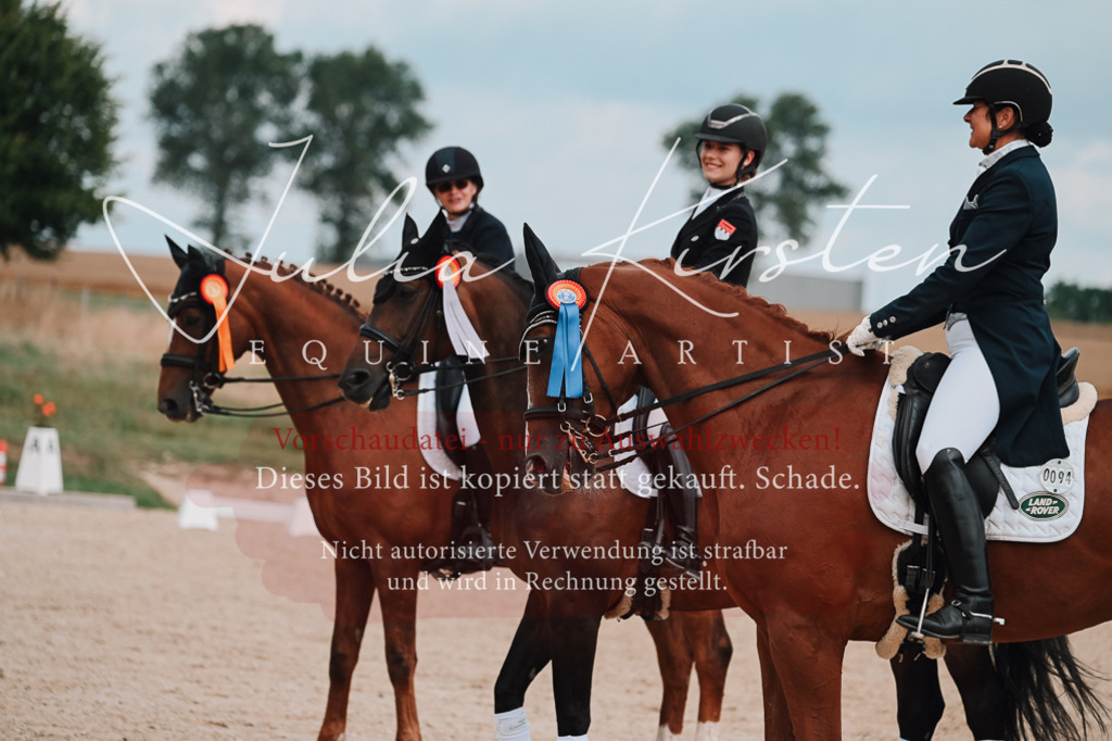 DSC_4129 | Pferde- und Turnierfotografie in Westsachsen. Pferdeportraits, Auftragszeichnungen und intuitive Kunst.