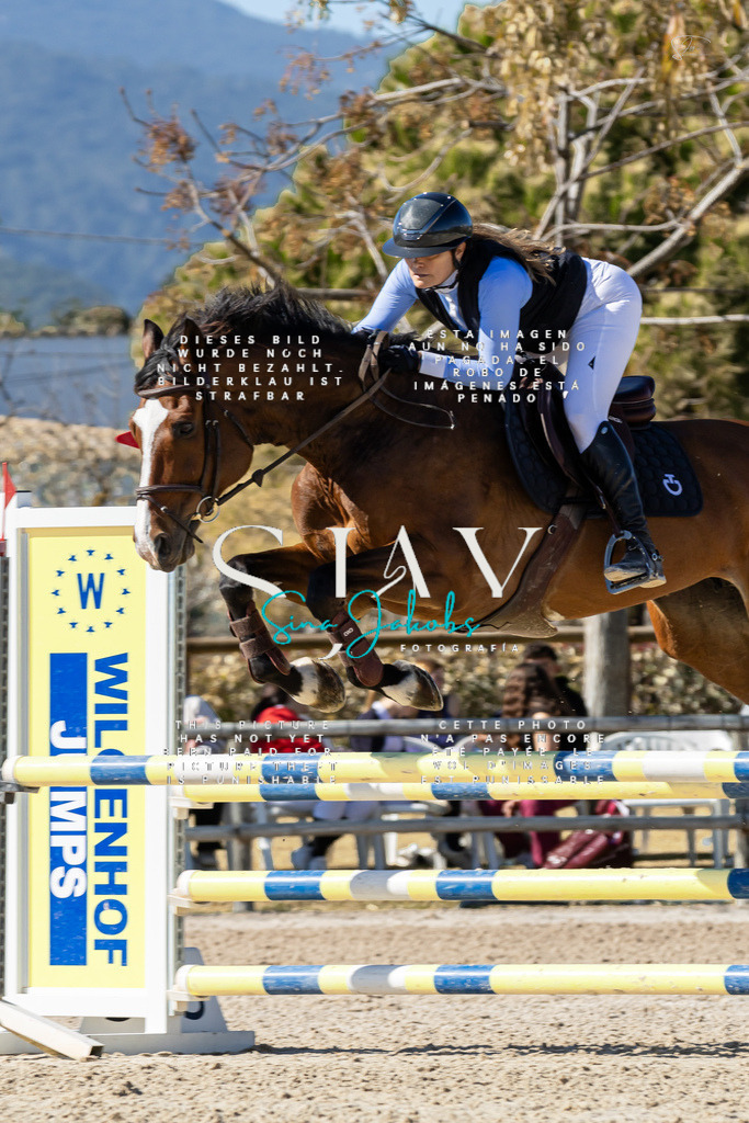 IMG_0544 | s-jay-photography - Realisiert mit Pictrs.com