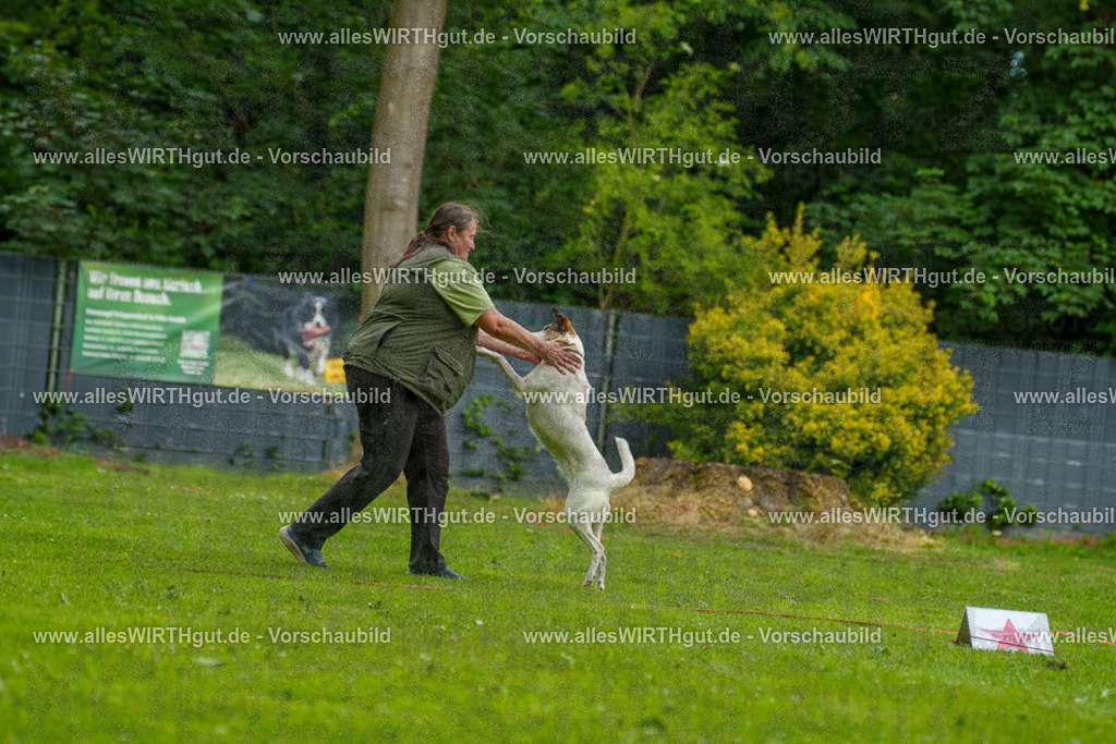 @allesWIRTHgut_Tierfotografie - www.allesWIRTHgut.de - 123209-7R509068 | Professionelle Tierfotografie in Mönchengladbach von Daniel Wirth (allesWIRTHgut). Liebevolle & natürliche Bilder von Hunden & Katzen für unvergessliche Erinnerungen.