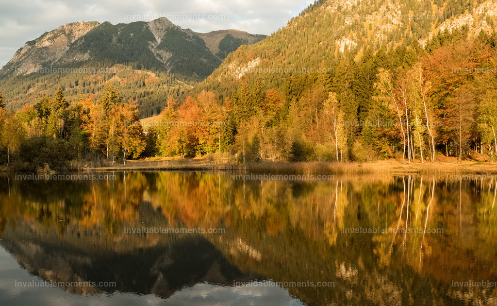 DSCF1732iridient | invaluablemoments.com - Realisiert mit Pictrs.com