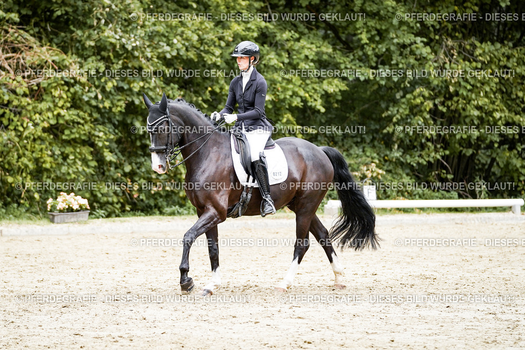 DSC05978 | Pferdegrafie