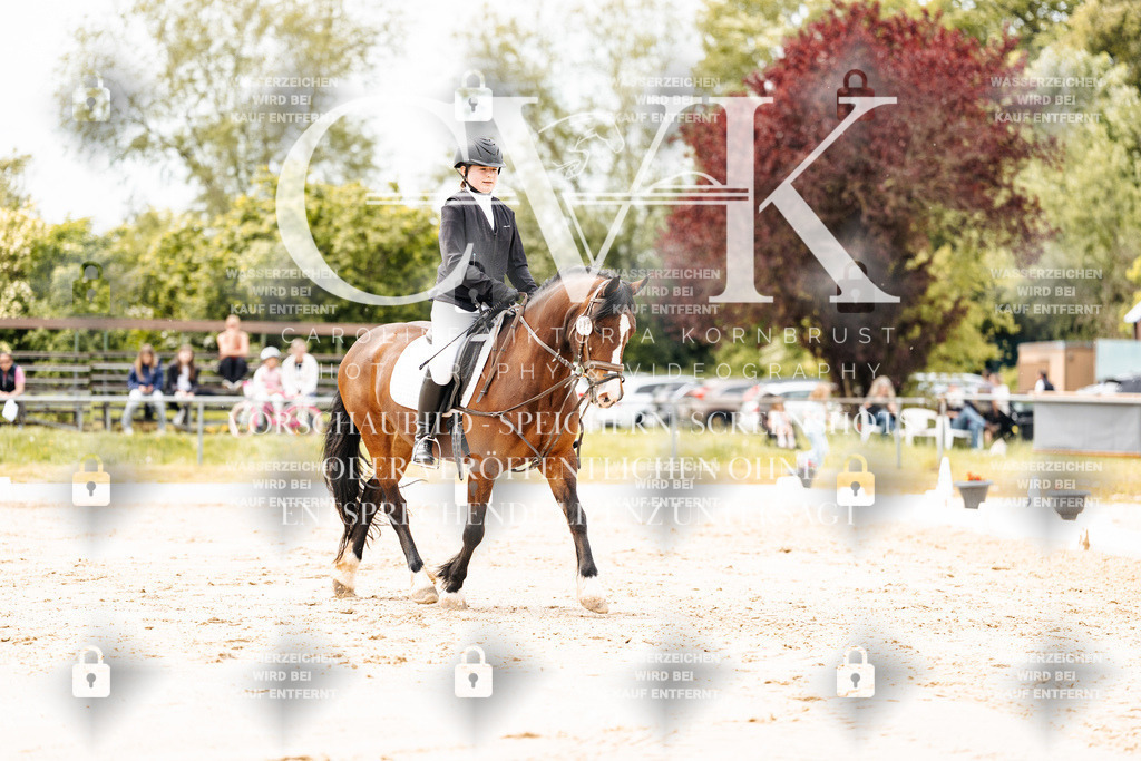 CK902782 | Turnierfotografie Pferdefotografie Trier Rheinland-Pfalz Pferdesport Reitsport Tierfotografie Sportfotografie Pferdevideo Pferdevideografie Equestrianvideography equestrianphotography  - Realisiert mit Pictrs.com