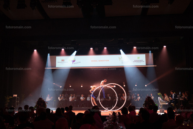 76.Gr_iwemaacher Wäinfest 2026. (73 von 243) | www.fotoromain.lu