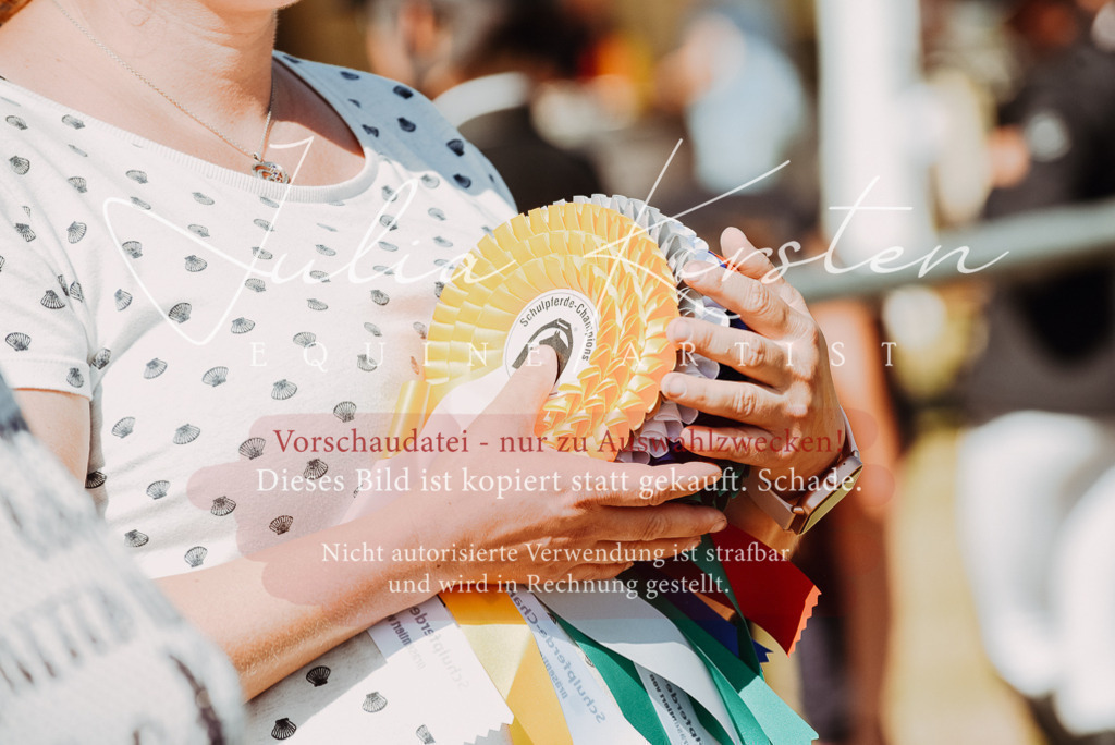 DSC_6381 | Pferde- und Turnierfotografie in Westsachsen. Pferdeportraits, Auftragszeichnungen und intuitive Kunst.