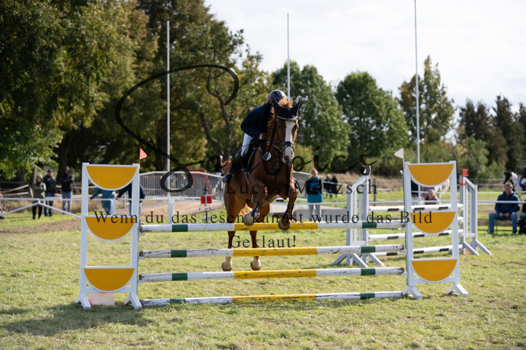 A7V07042 | Pferdefotograf