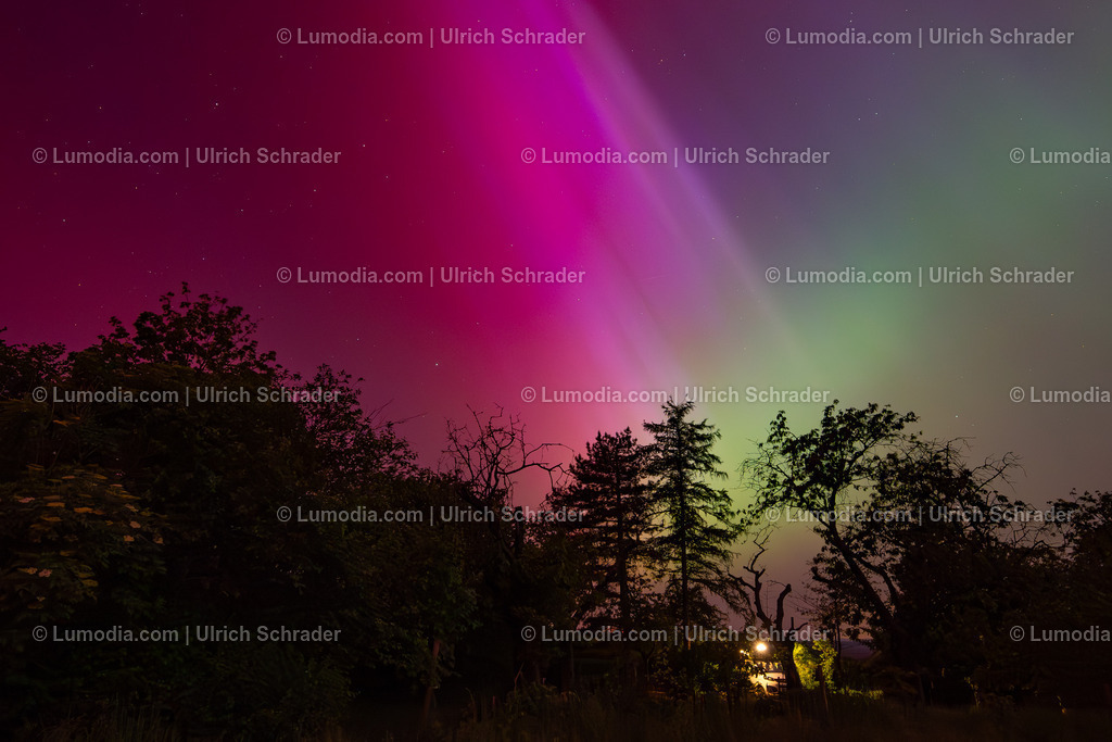 10049-13229 - Polarlicht am Huy | Stockfoto und Bilderpool mit Bildmaterial aus Deutschland, dem Harz, Halberstadt, Quedlinburg, Wernigerode und weltweit. Qualitativ hochwertige und professionelle Fotos anschauen und kaufen. - Realisiert mit Pictrs.com