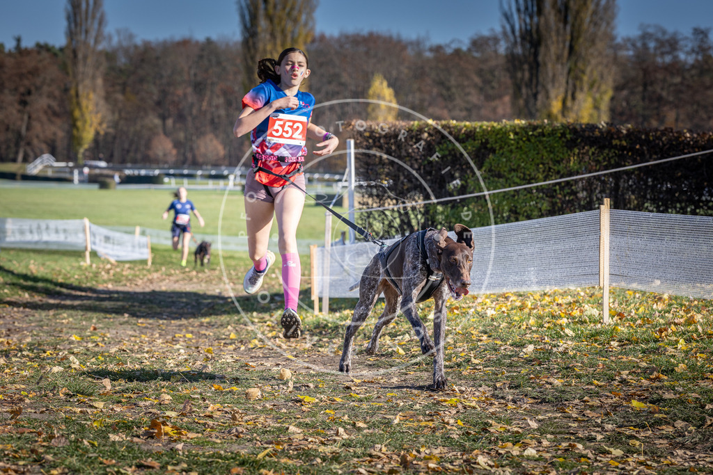 CaniXpix_DV3A8520 | Hundefotografie, Tierfotograf, Pfotenfotografie, Fotoshooting Hund, Hunde Portrait, Hundesport, Hundeportraits, Heideshooting, Hunde, Sportfotograf, Hundefotograf, Turnierhundsport, THS,  - Realisiert mit Pictrs.com