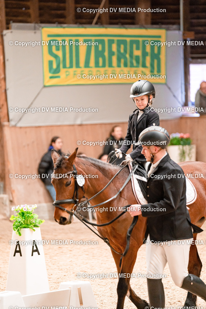 Dressur Tag 3-569 | dv-media-shop - Realisiert mit Pictrs.com