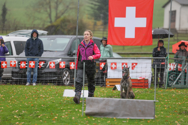 2025_Rally_Obedience_SM-201 | Ich fotografiere Hundeausstellungen, Sportanlässe, Zuchtstätten, Hundezucht, Hundeportrait, Lagotto - Realisiert mit Pictrs.com