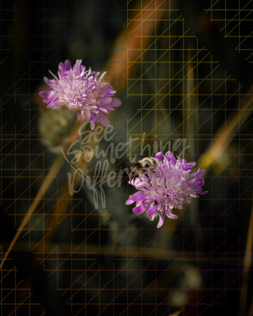 XE5G0026 | See something different - Realisiert mit Pictrs.com