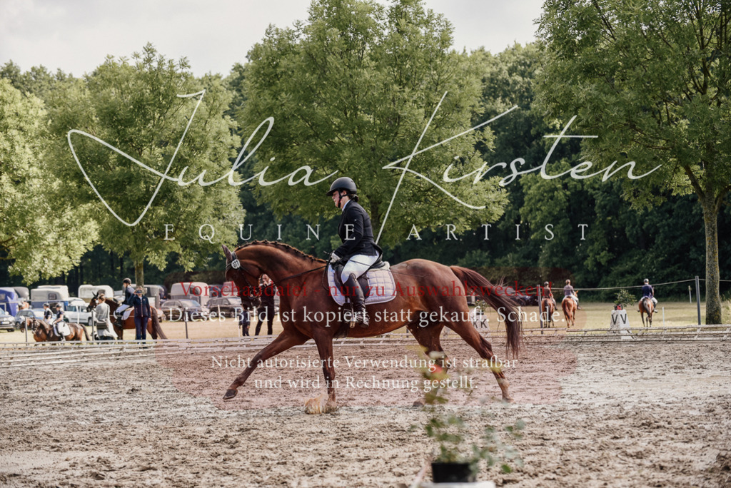 DSC_9275 | Pferde- und Turnierfotografie in Westsachsen. Pferdeportraits, Auftragszeichnungen und intuitive Kunst.