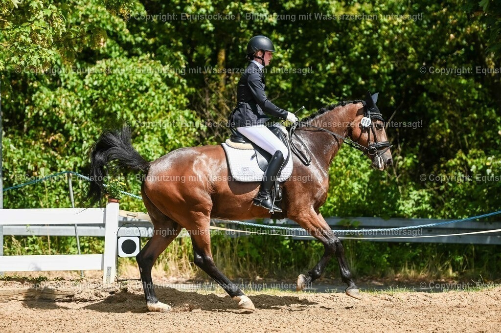 20230715_02_Dressurreiterprüfung Kl.L_0095 | equistock