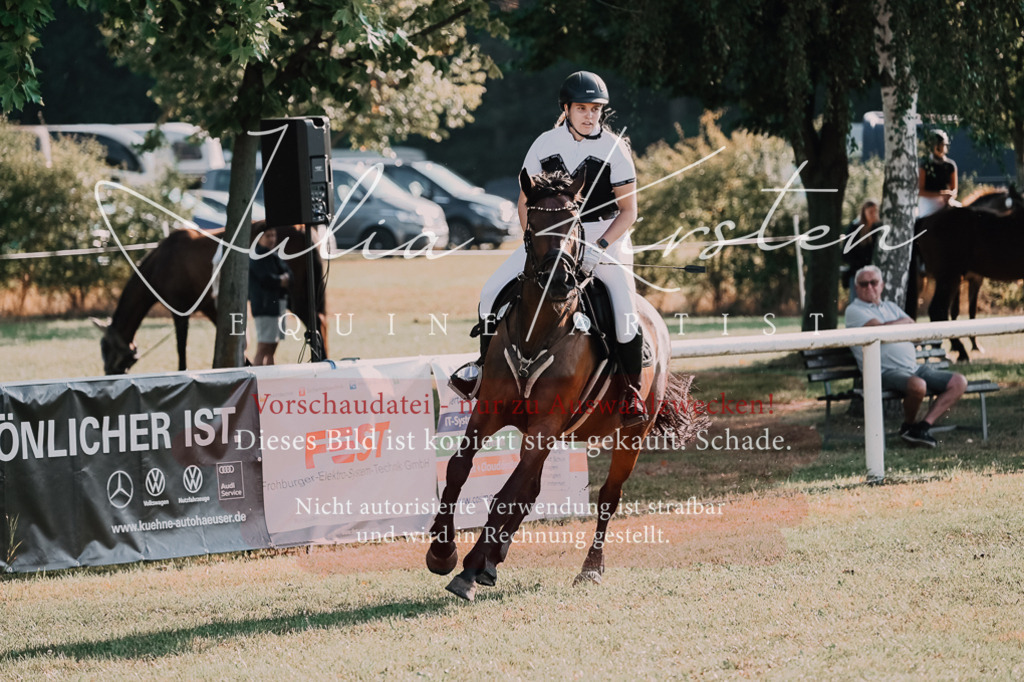 DSC_4597 | Pferde- und Turnierfotografie in Westsachsen. Pferdeportraits, Auftragszeichnungen und intuitive Kunst.