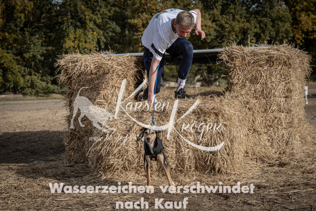 1213_ZZ93680 | kk-dogfotos