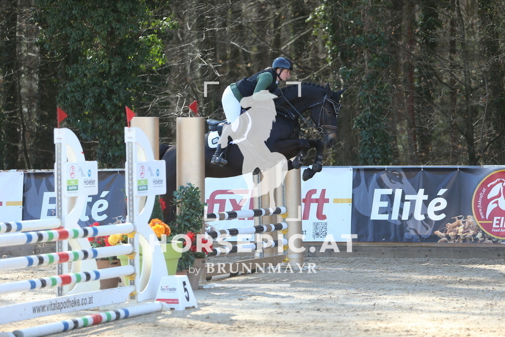 DL2Q8495 | Willkommen bei Brunnmayr - Design & Fotografie – Ihrem Spezialisten für Reitturniere und Pferdeveranstaltungen in Oberösterreich, Salzburg und Bayern! Seit über 17 Jahren sind wir leidenschaftlich dabei.
