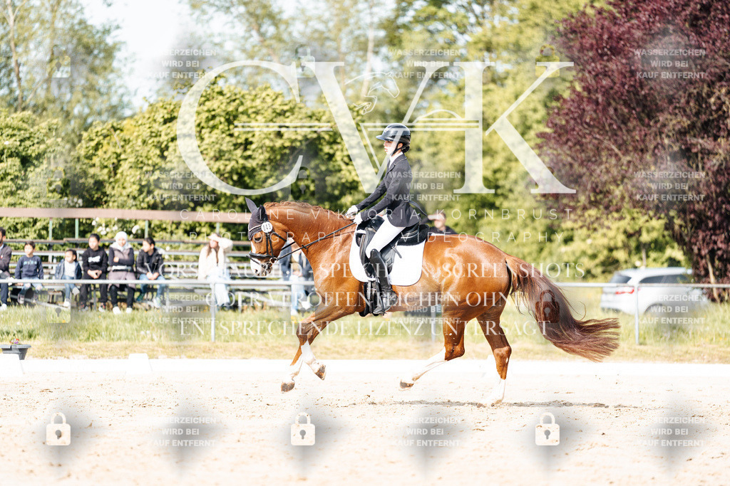 CK900338 | Turnierfotografie Pferdefotografie Trier Rheinland-Pfalz Pferdesport Reitsport Tierfotografie Sportfotografie Pferdevideo Pferdevideografie Equestrianvideography equestrianphotography  - Realisiert mit Pictrs.com