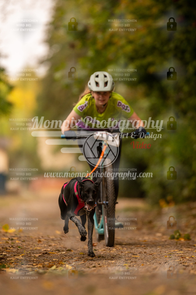 CDLBDB_14_10_2023_Samedi-174 | PayLife