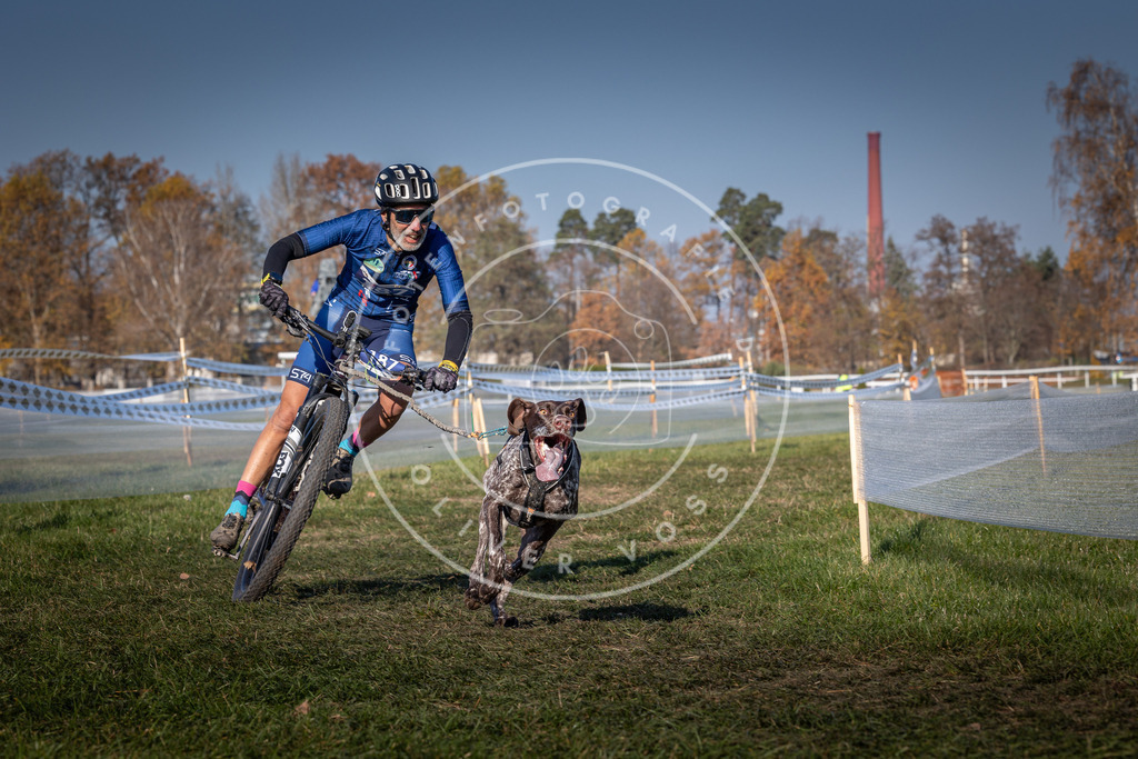 CaniXpix_0L8A6251 | Hundefotografie, Tierfotograf, Pfotenfotografie, Fotoshooting Hund, Hunde Portrait, Hundesport, Hundeportraits, Heideshooting, Hunde, Sportfotograf, Hundefotograf, Turnierhundsport, THS,  - Realisiert mit Pictrs.com