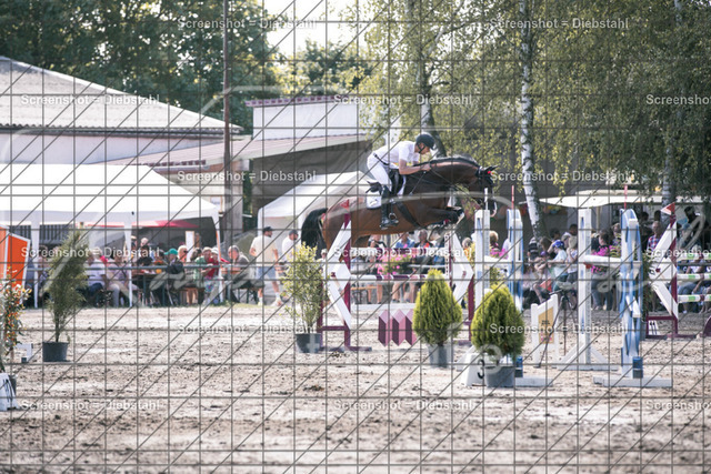 _W6A8000 | ronjaprokoschfotografie - Realisiert mit Pictrs.com