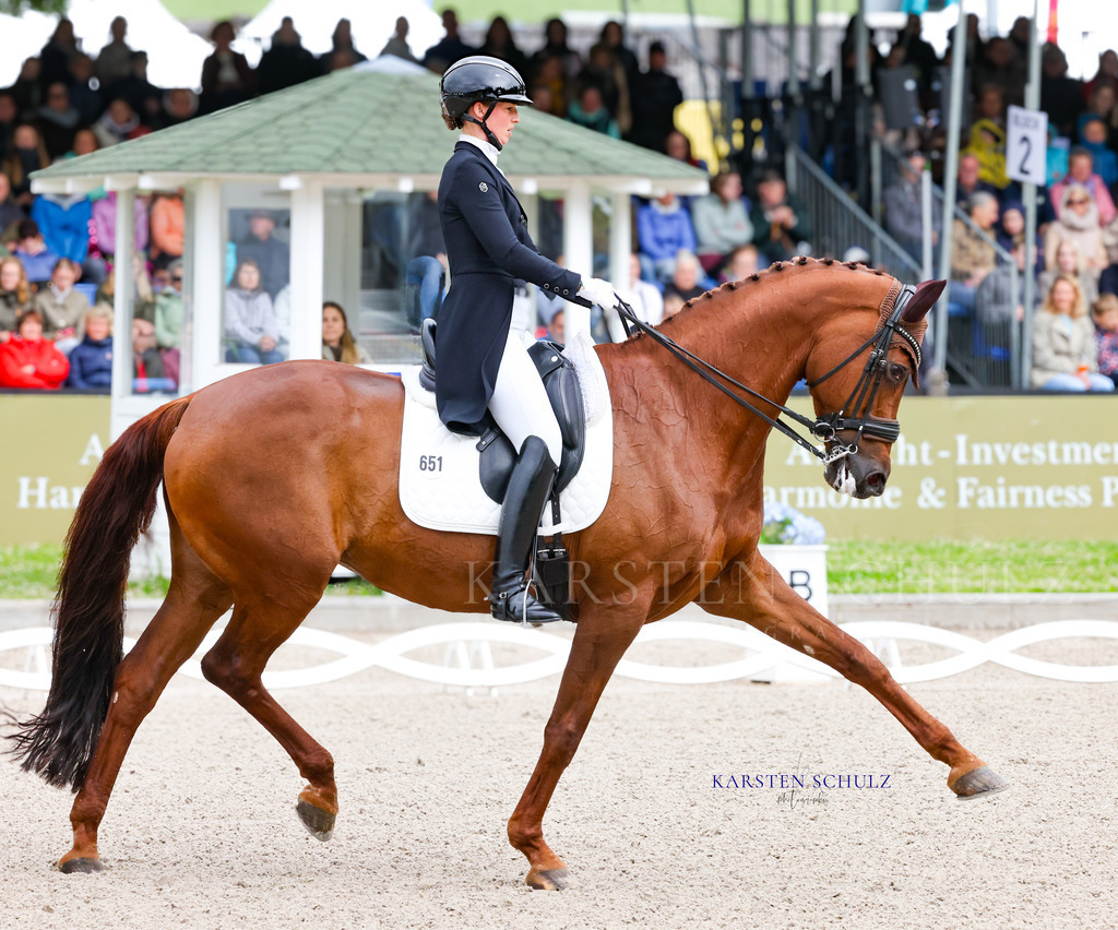 1B3A7468 | Reitsport Reiten