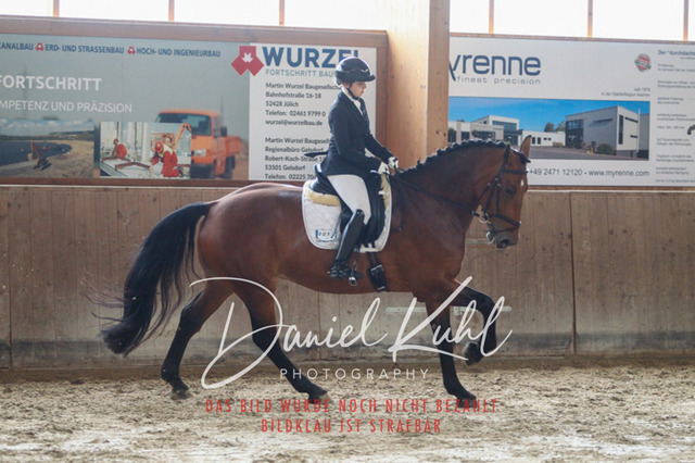 DKP44184 | Turniersportfotografie; Pferdefotografie; Dressurfotografie