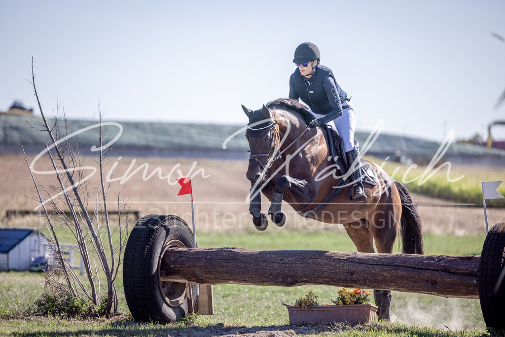 20260906-_3LI2357 | Tierfotografie Pferde, Hunde, Katzen, Haustiere.
Turnierfotografie Reitturniere, Reiten, Springreiten, Dressur in Hanau, dem Main-Kinzig-Kreis und dem Rhein-Main- Gebiet um Frankfurt