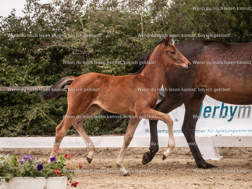 A10I6415 | photographylinaismer - Realisiert mit Pictrs.com