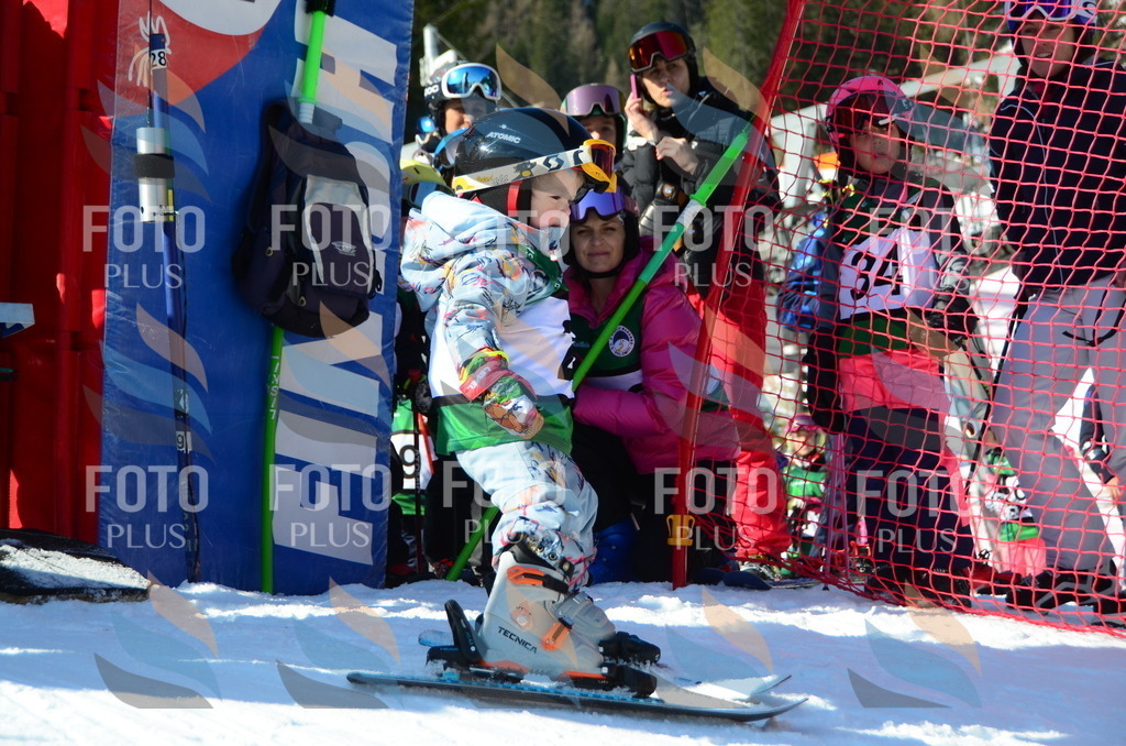 C4788 | holidayphoto