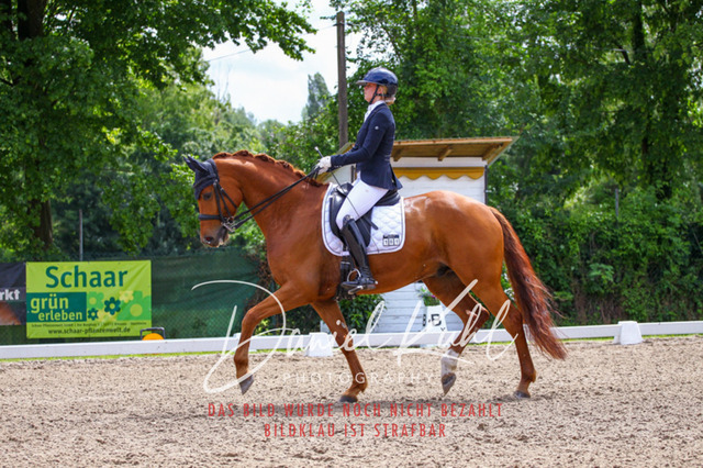 DKP41216 | Turnierfotos kaufen im Webshop von Daniel Kuhl Photography – entdecke professionelle Reitsportfotos aus Turnieren & Events. Hochwertige Turnierbilder online bestellen & sichern. Jetzt Fotos von Reitsportturnieren kaufen!