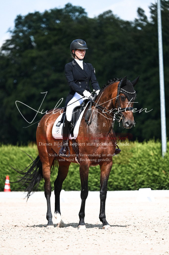 DSC_3112 | Pferde- und Turnierfotografie in Westsachsen. Pferdeportraits, Auftragszeichnungen und intuitive Kunst.