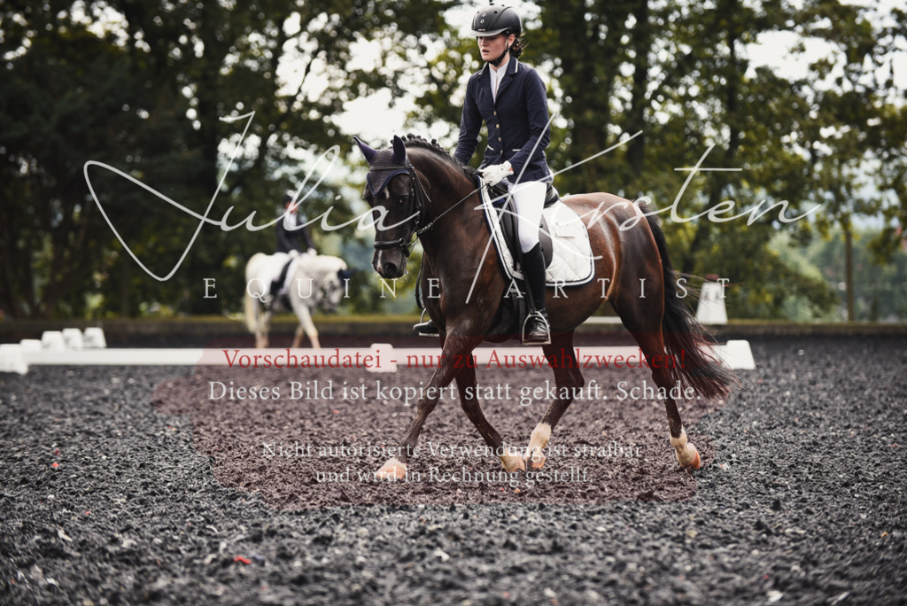 DSC_3941 | Pferde- und Turnierfotografie in Westsachsen. Pferdeportraits, Auftragszeichnungen und intuitive Kunst.