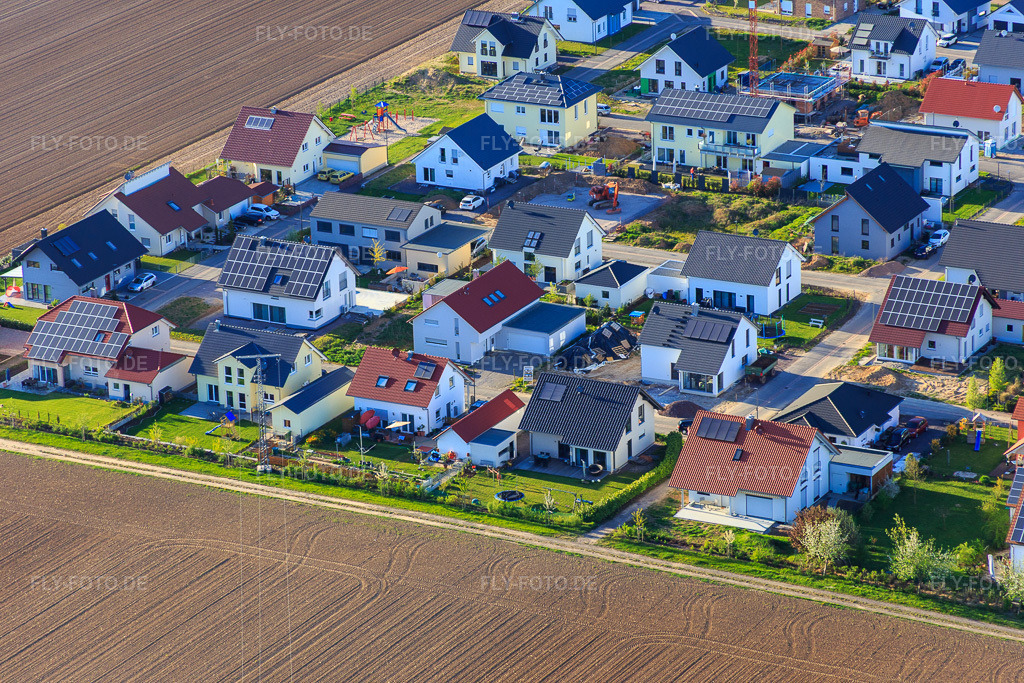 Luftbild: Birkenweg in Steinweiler im Bundesland Rheinland-Pfalz in Deutschland. Foto: IMG_077383.jpg vom 21.04.2015 durch Werner Riehm/FLY-FOTO.de
