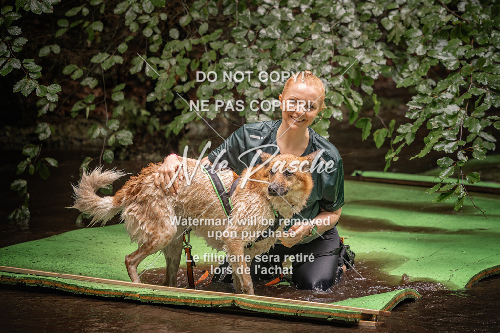 nelerasche_Wingst_Sa1330-1400_378 | nelerasche