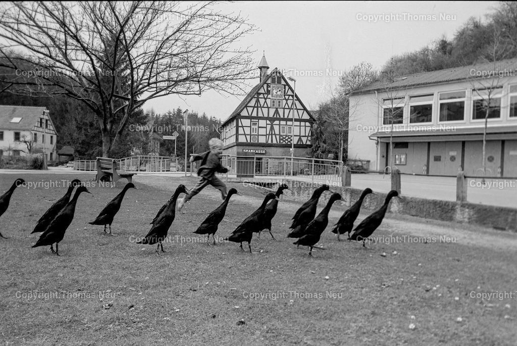 Zell_1987_Junge_Gänse | bfr, Zell, 1987,ein Junge mit Enten, Mittwochsserie, , Bild: Thomas Neu
