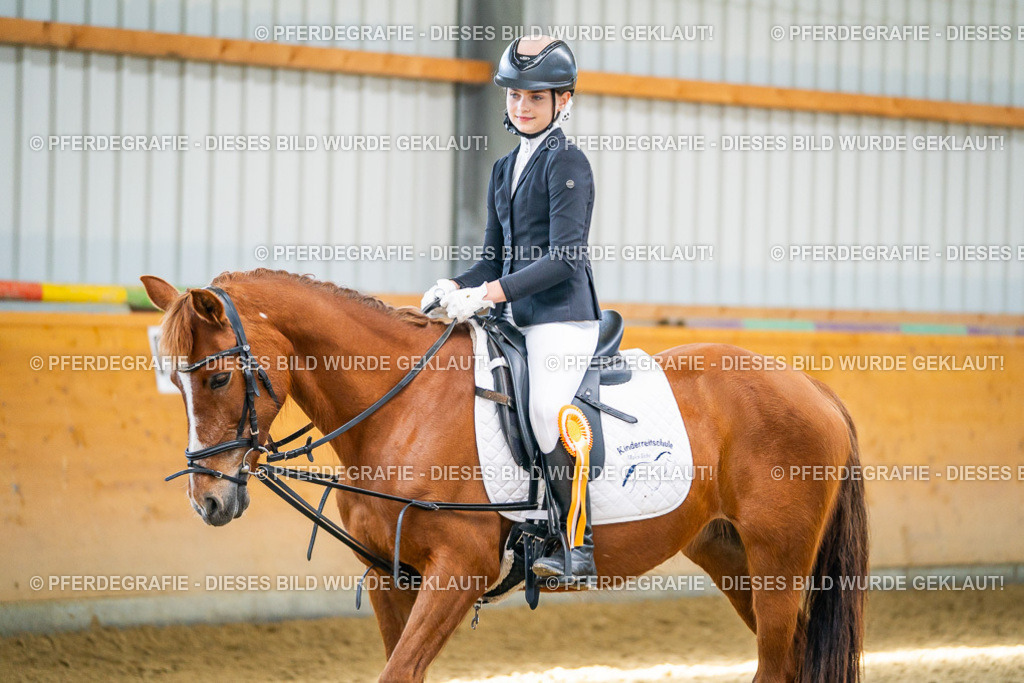 DSC03079 | Pferdegrafie