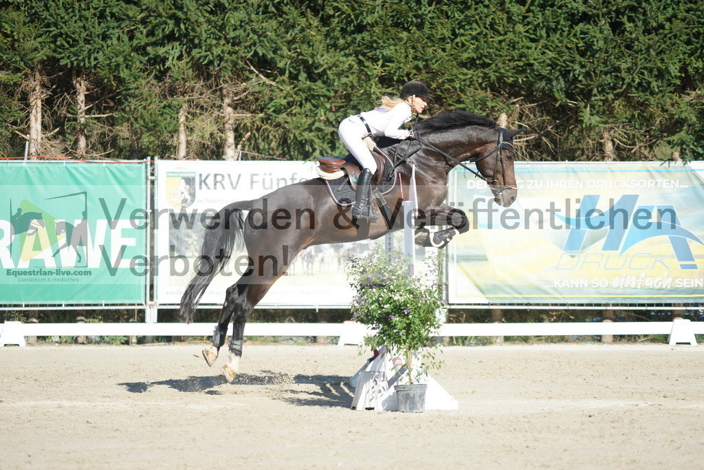 DSC01270 | equestrian-live-com