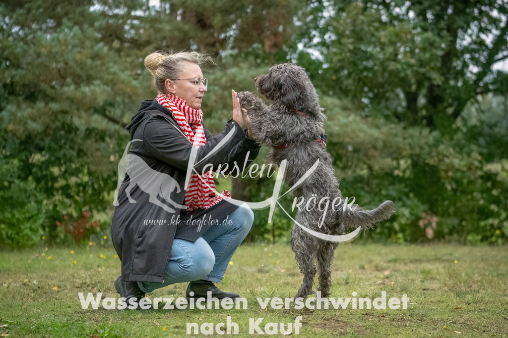 1511_ZZ94631-2-Bearbeitet | kk-dogfotos