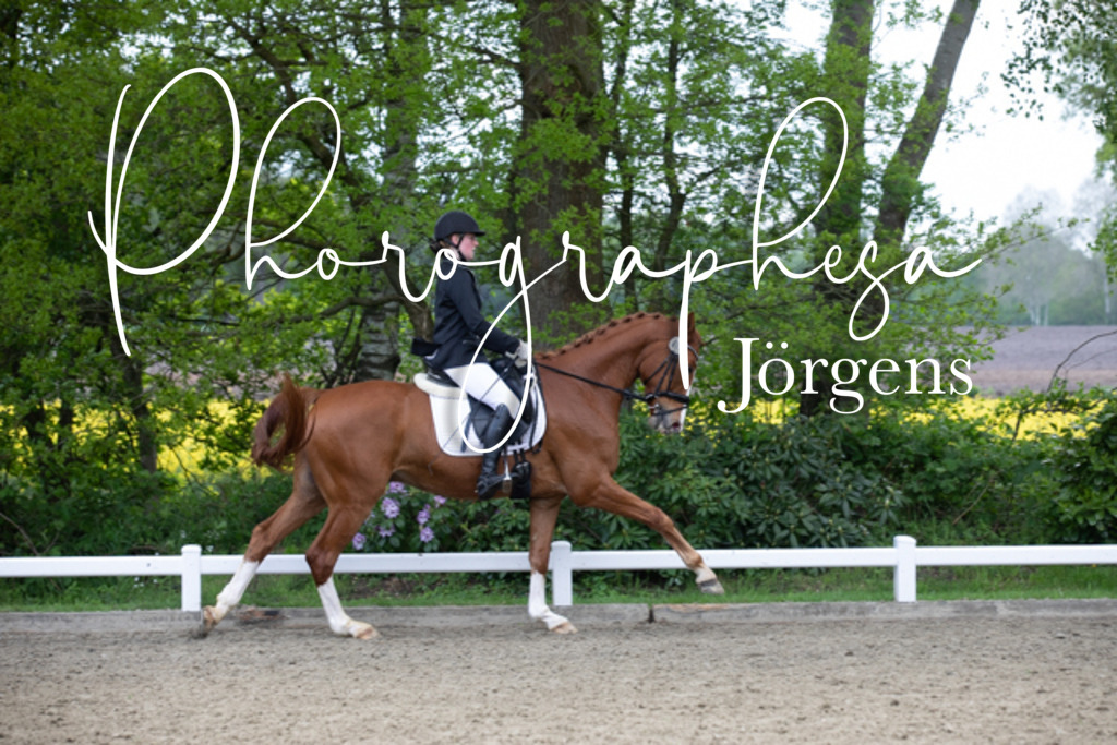 IMG_9551 | photographesa-joergens - Realisiert mit Pictrs.com